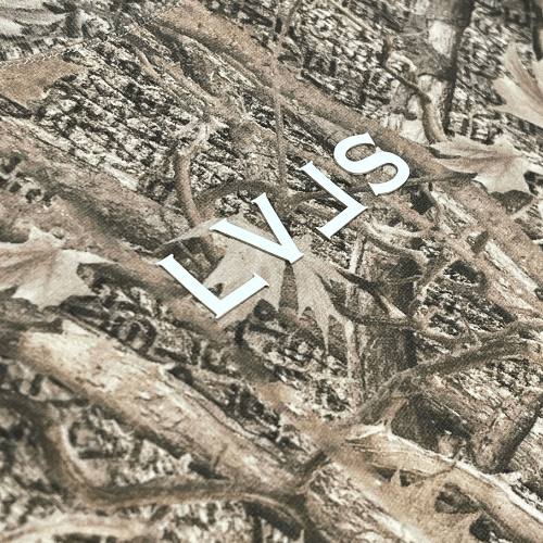 LEVELS CAMO CROP TEE