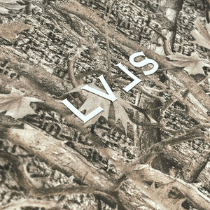 LEVELS CAMO CROP TEE