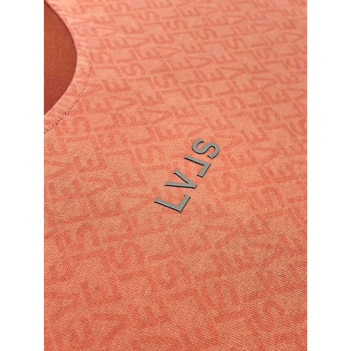 LEVELS LVLS CROP TEE | DESTIN BREEZE