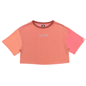 LEVELS LVLS CROP TEE | DESTIN BREEZE