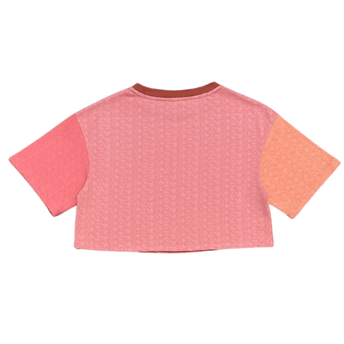 LEVELS LVLS CROP TEE | DESTIN BREEZE