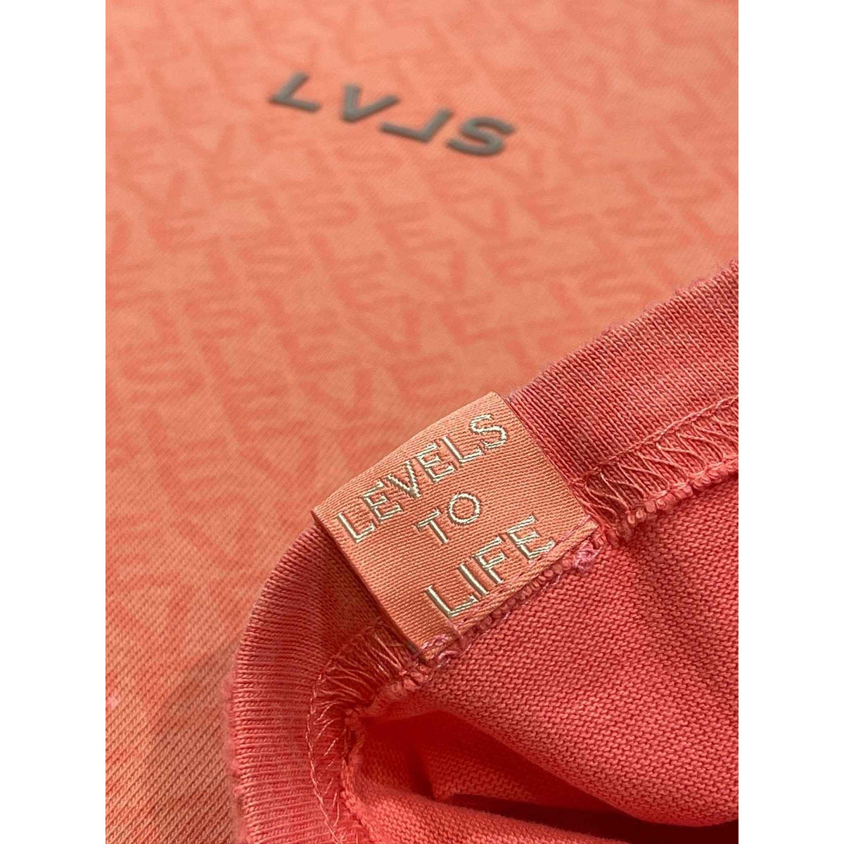 LEVELS LVLS CROP TEE | DESTIN BREEZE