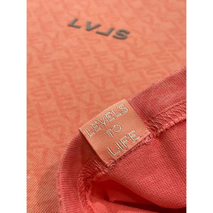 LEVELS LVLS CROP TEE | DESTIN BREEZE