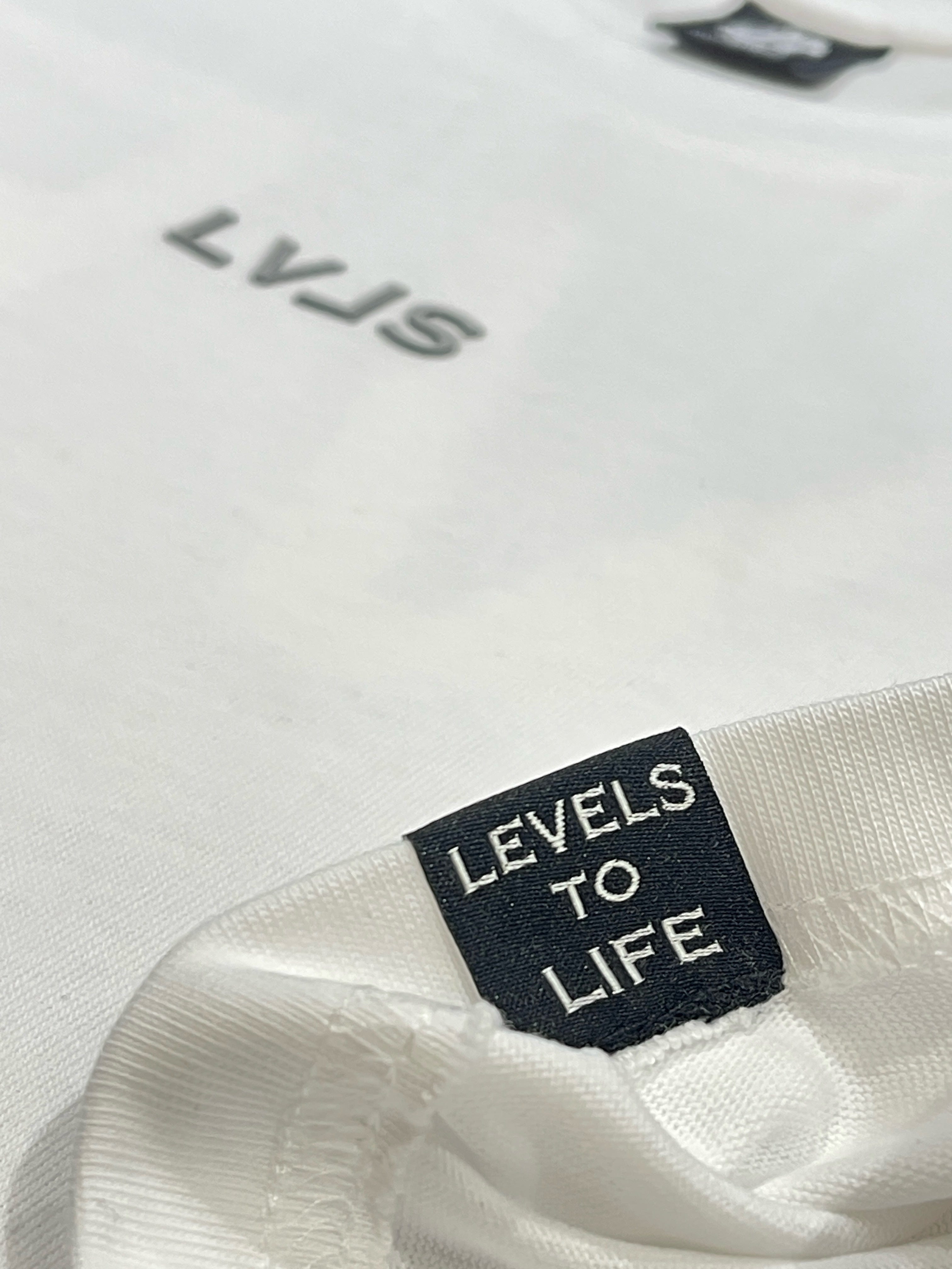Levels L.L.C. Apparel & Accessories LEVELS REFLECTIVE SIGNATURE OVERSIZED TEE | LAUREN SHIREE