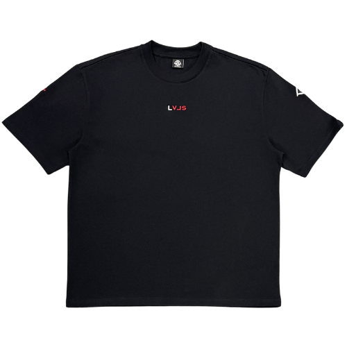 LEVELS, LLC OVERSIZE TEE LEVELS SIGNATURE OVERSIZED TEE | BLAZE