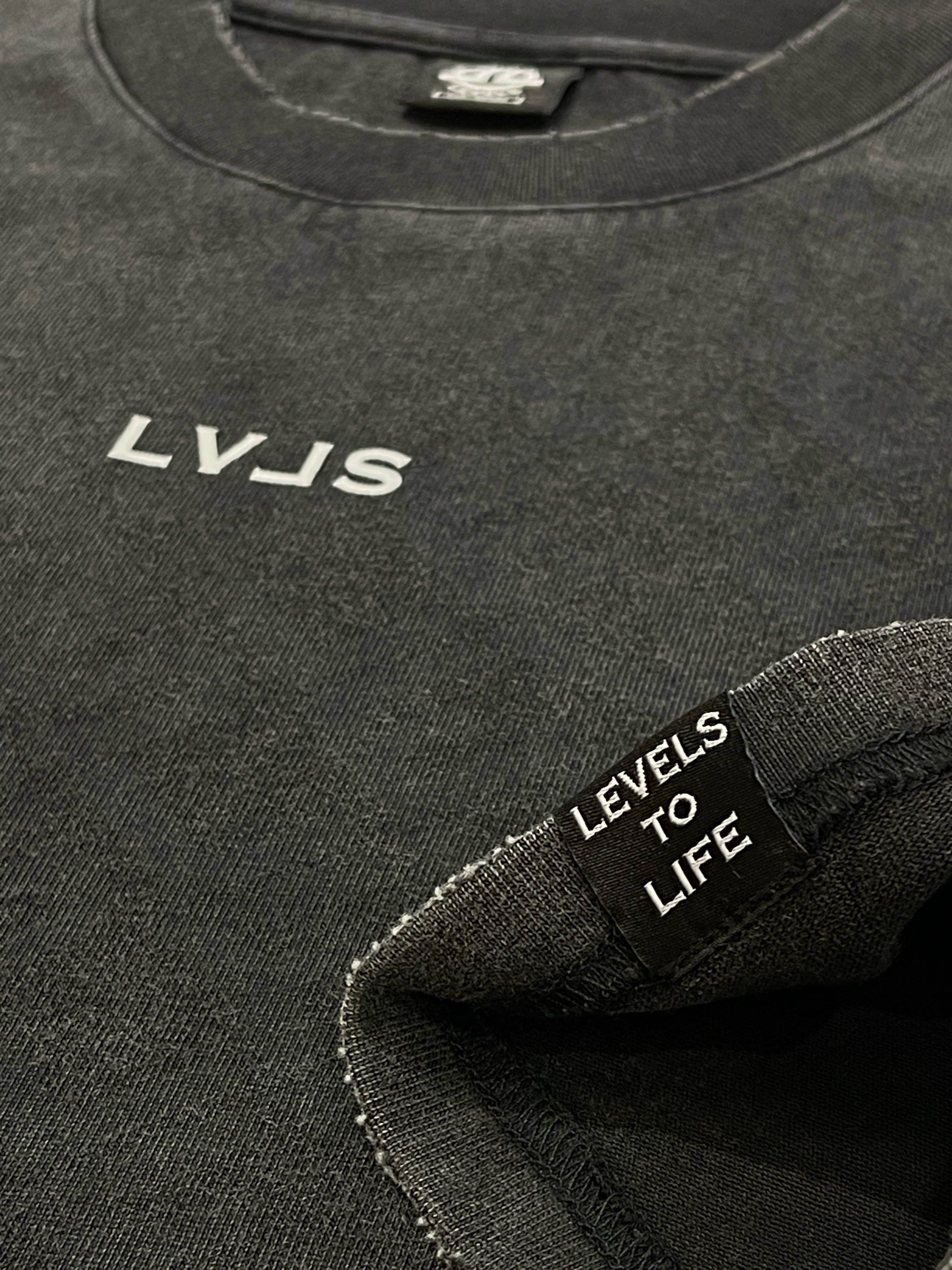LEVELS, LLC OVERSIZE TEE LEVELS SIGNATURE OVERSIZED TEE | TU HEAVY EDITION