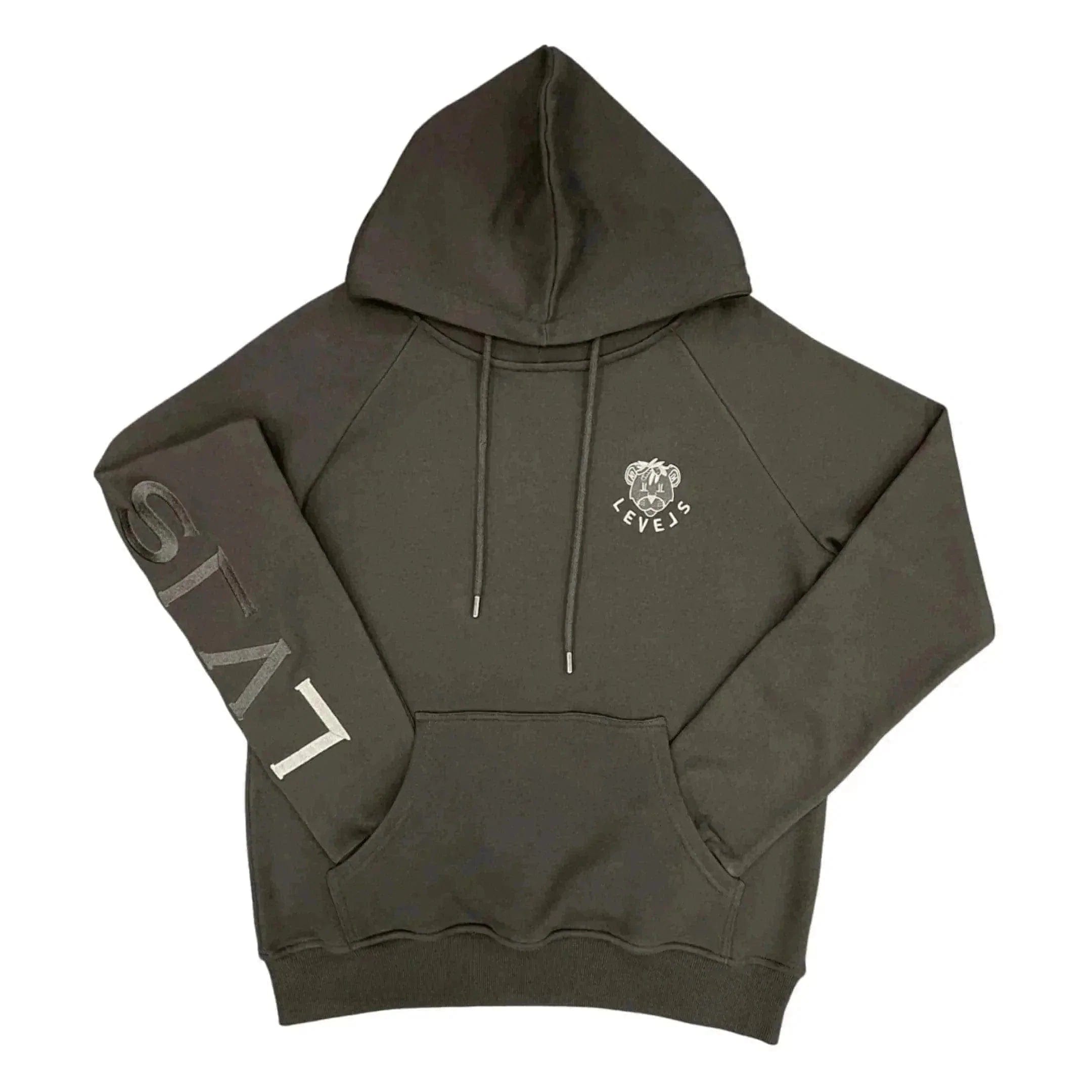 LEVELS, LLC Hoodie LVLS EMBROIDERED PULLOVER HOODIE (ONYX BLACK)